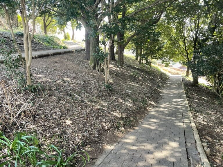 妙宣寺公園　遊歩道