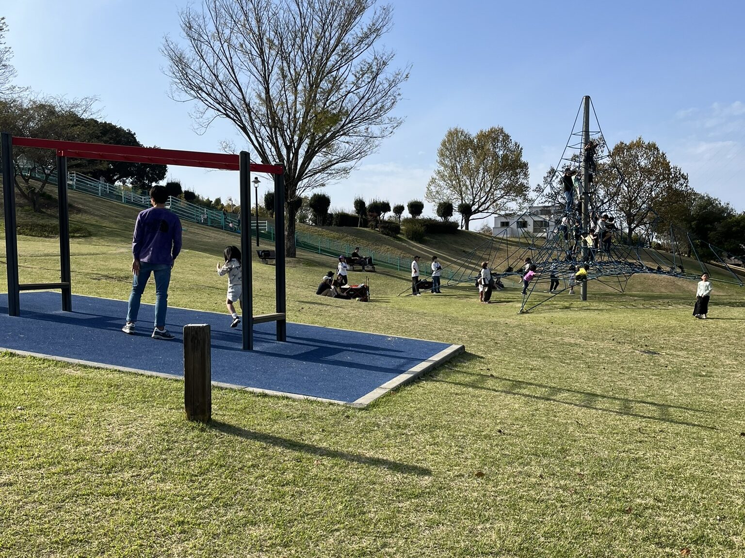 運動公園　ジャングルジム