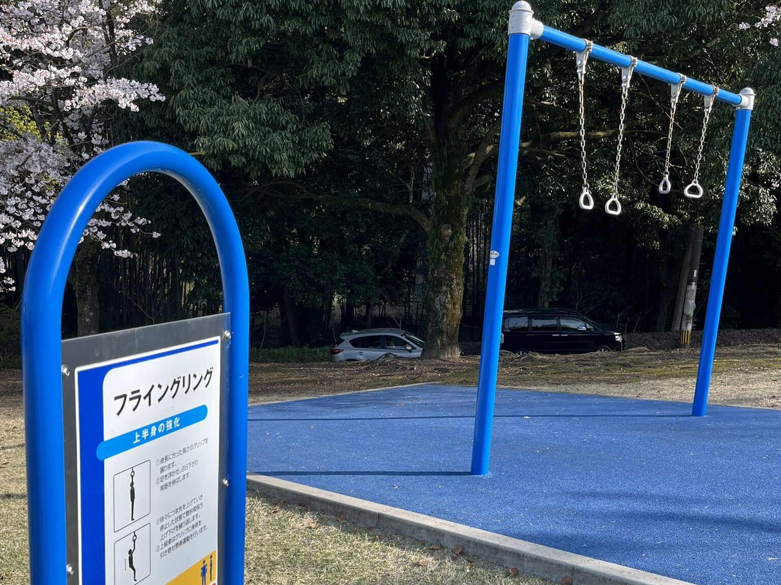 運動公園　吊り輪