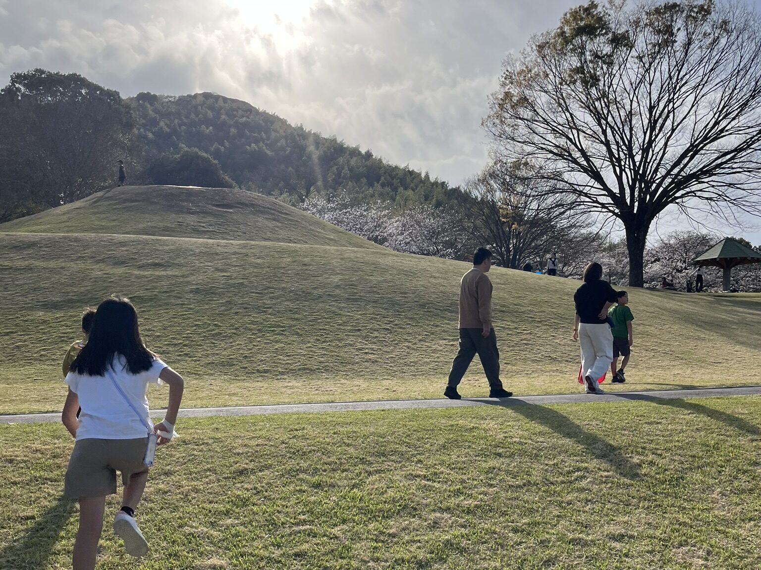 運動公園　小高い丘