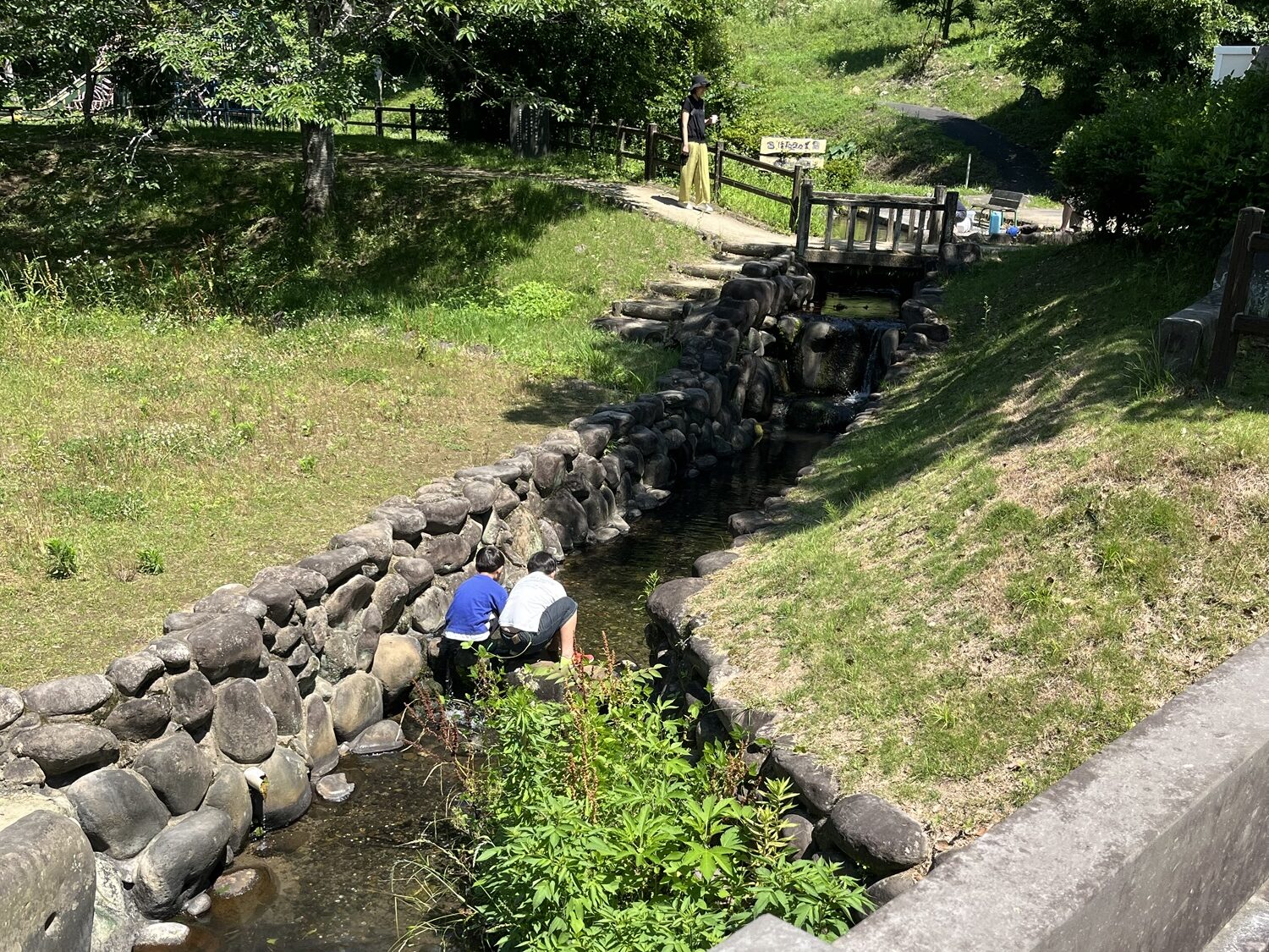 小野泉水公園　小川
