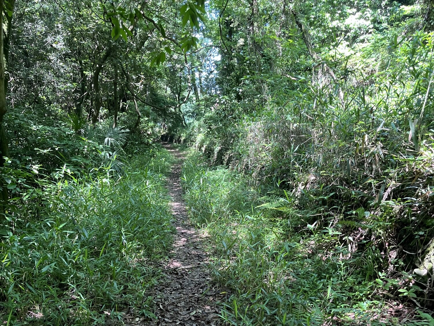 小野泉水公園　山道