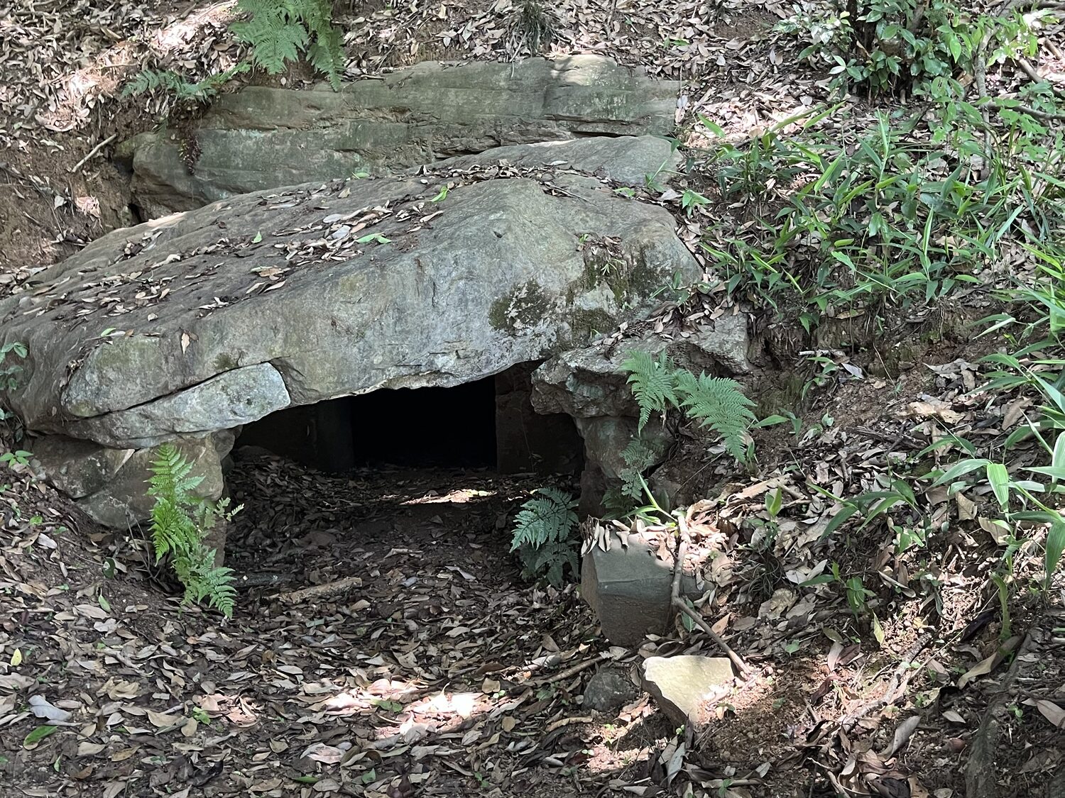 小野泉水公園　古墳