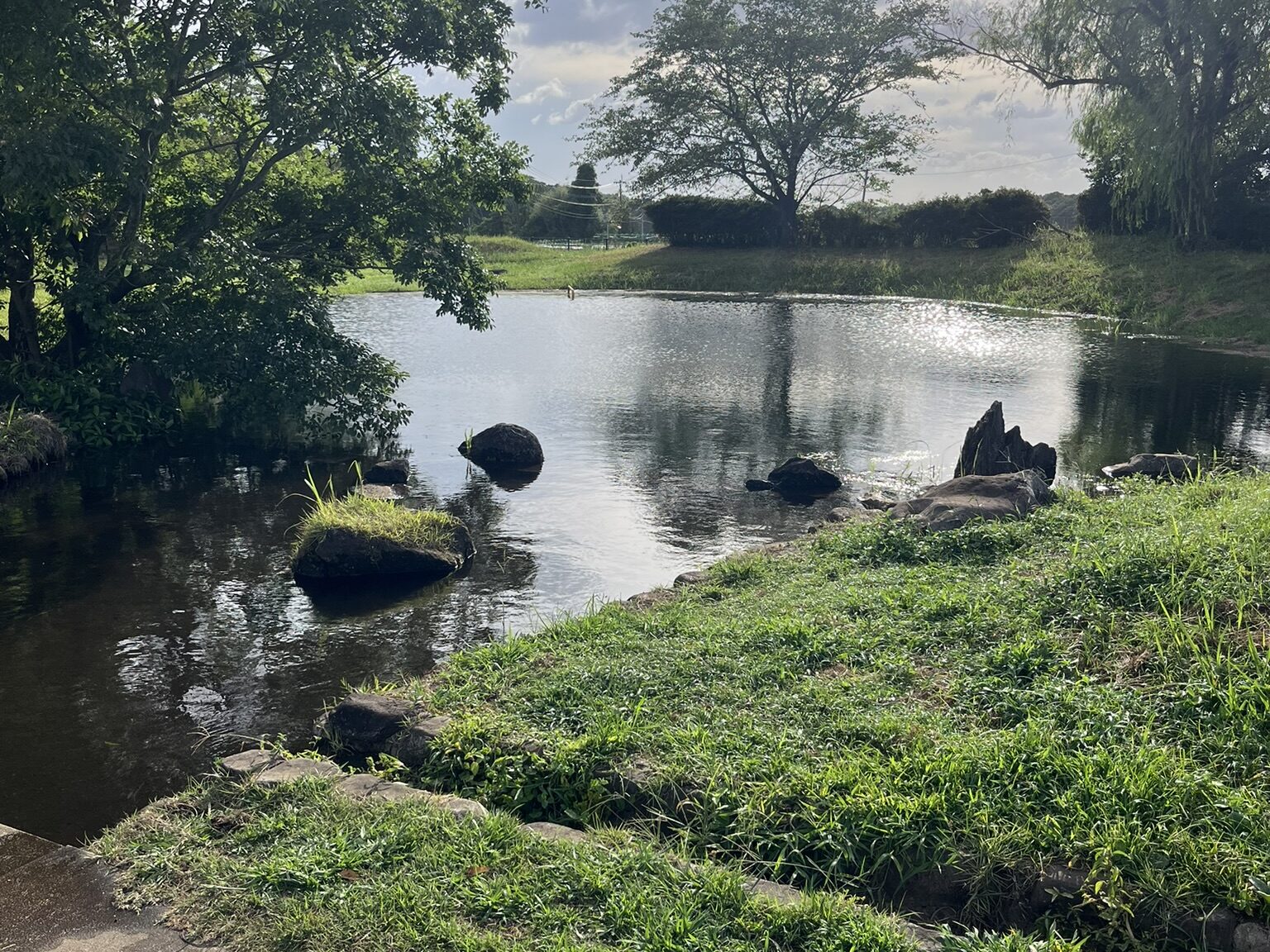 矢護川公園　ため池
