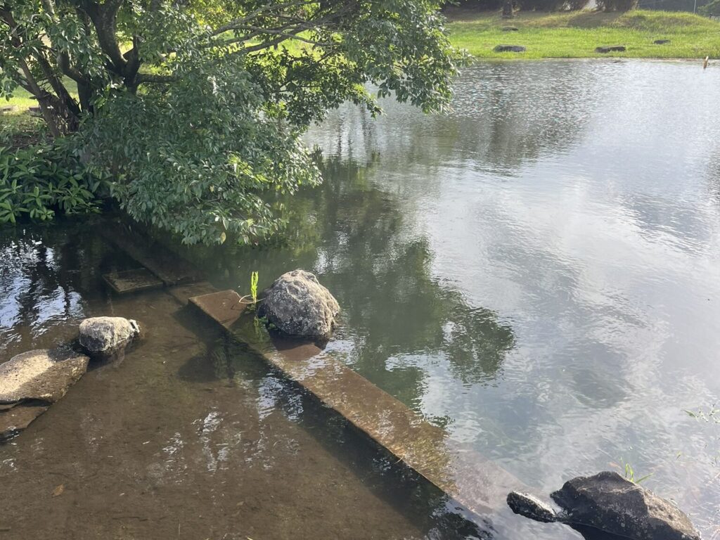 矢護川公園　ため池の仕切り