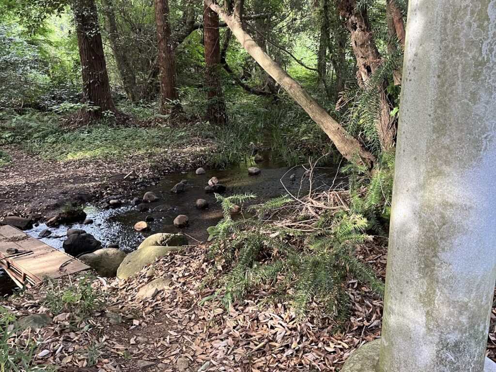 矢護川公園　参道横の小川